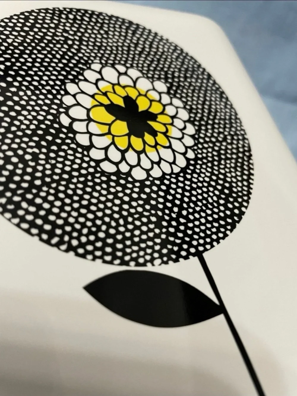 Flower Fields shower curtain & tissue holder set